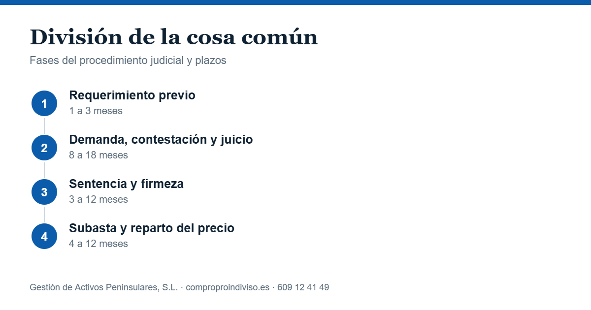 División de la cosa común: fases del procedimiento judicial y plazos